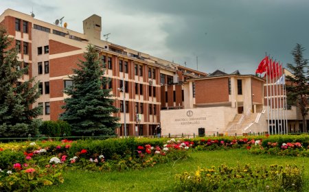 Anadolu universiteti