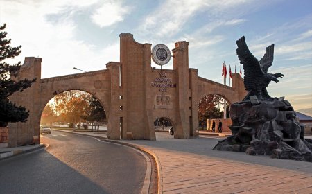 Atatürk universiteti